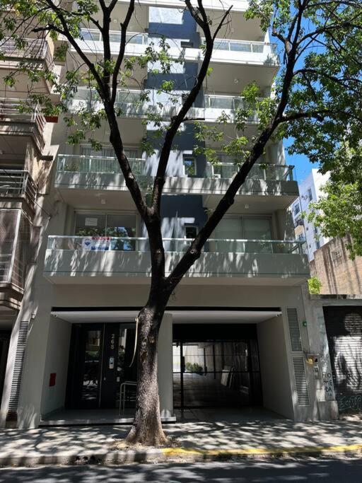Luminoso Y Moderno Departamento Buenos Aires